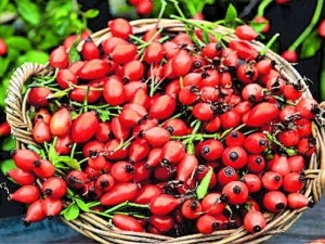 Отвара от шипка бори лошия холестерол
 