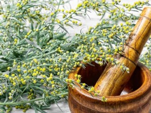 Пелинът чисти дома от завист и лоша енергия
 