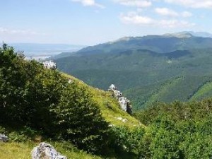 На ски курс с ученици в Тревненския Балкан
 