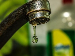 Над 100 000 българи живеят на воден режим
 