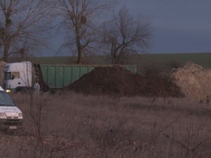 Започна унищожаването на 24 хил. прасета в Шуменско
 
 