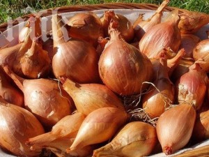 Старческите петна изчезват с лук за 4 дни
 