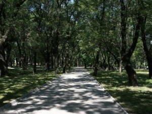 Градината на Военната академия беше строго охранявана