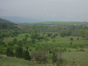 Защо ми хвръкна главата на кметски наместник
 
 