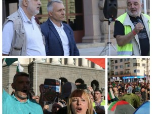 Отровното трио, Мая Манолова и групите за натиск
 