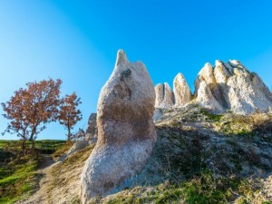Скала край Пловдив помага на бездетни
 