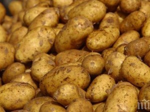 Вериги слагат 100% надценка