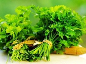 Компрес с магданоз бори разширените вени 
 