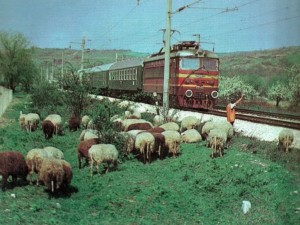 Началник-гарата ме наказа и 4 месеца не ходих на лекар и на баня
 
 