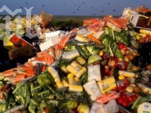 Хвърляме храна за 500 милиона всеки месец