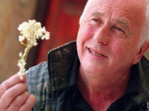 Лечителят Еньо Миланов: Топ 10 на най-лековитите наши билки