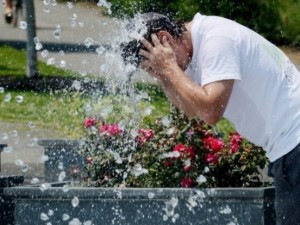 Жегите отключват болести на кръвта 
