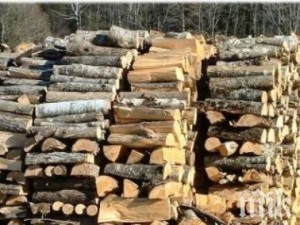 Пелети и дърва с ударно поскъпване преди зимата