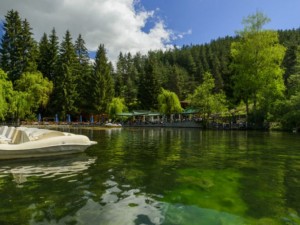 8 бона за ЧНГ във Велинград, 500 лева в Египет