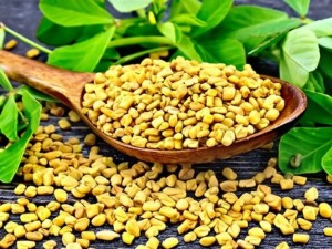 Сминдухът сваля холестерола с 33%
 