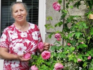 Лечителката на Ламбо: 3 клечки кибрит и морска сол пазят от болести и магии!
 
 