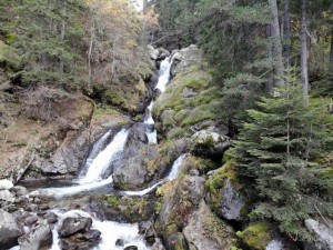 Богородица се яви на Бистришкия водопад
