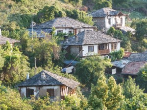 Чудеса се случват в селото на Петко войвода
 