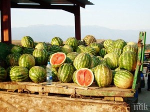 Ядем гръцки дини, нашите гният на полето
