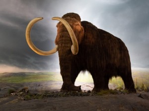 Гигантски кости на мамути лежат в морето край Созопол
 