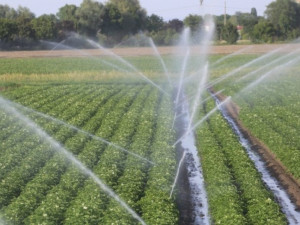 Шок! Водата за напояване скача с до 395%