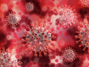 3 злобни вируса ни атакуват през есента и зимата 
