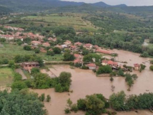 Спрете варварството с безпощадната сеч на горите
 