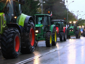 Зърнарите с майбаси да спрат да рекетират за пари
 
 