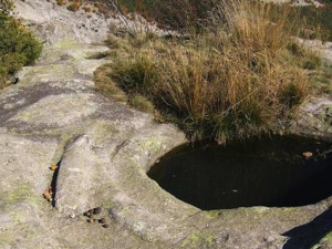 Свидетели на мистерията в Царичина проговориха
