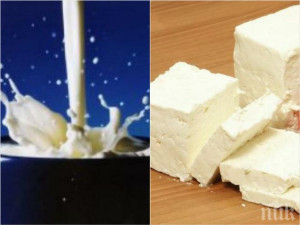 Мляко и сирене отново поскъпват