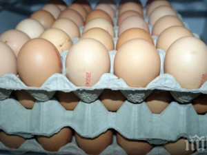 Откъде идват яйцата и пилешкото в магазина