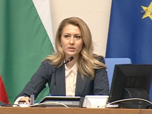 Рая Назарян копие на ОленаЗеленска (Снимки)