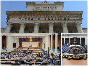 Разгонени политически мелези въртят шоуто в парламента 
 