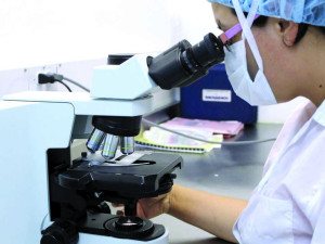 Разработиха 3D биопринтиране на мастна тъкан за лечение на рани