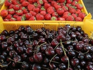 Вихри се безобразна спекула с черешите и ягодите - къде е държавата?