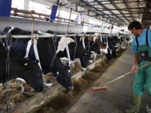 Младите не искат да са металурзи и животновъди
 