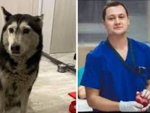 Лекарят, прегазил кучето Мая, се изнесе, на гаража му пише „Убиец“