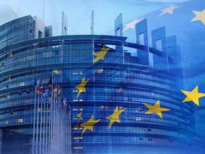 За свободните кокошки, кривите&nbsp;краставици и други абсурди
&nbsp;