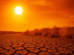 Лятото на 2025 г. &ndash; най-сухото от близо 100 години
&nbsp;