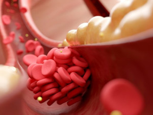 Боб, леща и ябълки борят високия холестерол