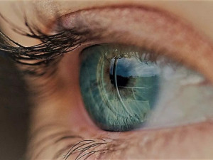 Бактерия, която &bdquo;спи&ldquo; в очите, може да е причината за алцхаймер 
