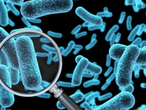 Намериха&nbsp;опасна бактерия&nbsp;на 5000 години в лед
