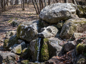 Страховит змей пази извора &bdquo;Живата вода&ldquo; край Боснек
