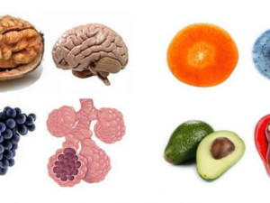 Кои храни за кои органи са полезни?
