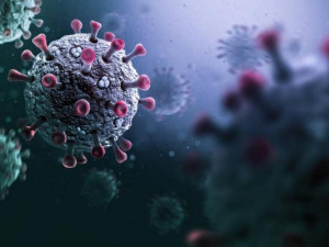 СЗО бие тревога:&nbsp;Нов опасен вирус чука на вратата