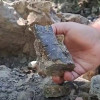 Откриха останки от динозавър до Трън
&nbsp;