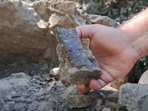 Откриха останки от динозавър до Трън
&nbsp;