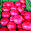Изкупуват ми розов домат за 50 цента, продават го по 3 евро
&nbsp;